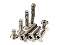 SS 310 ASTM F593 Fasteners